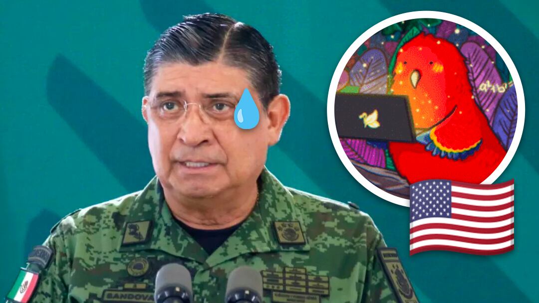 Al parecer, los Estados Unidos no están contentos con el hackeo de Guacamaya a la Sedena, pues expresaron su preocupación.