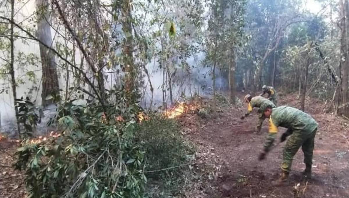 Incendio forestal en Hidalgo, Tamaulipas