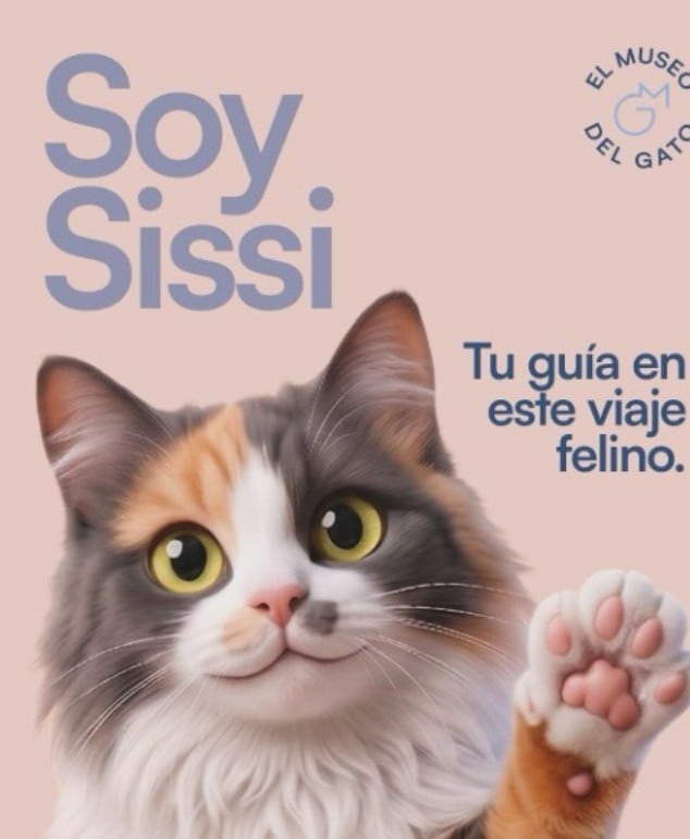 Museo del Gato en CDMX abre el 8 de agosto: así será la experiencia inmersiva