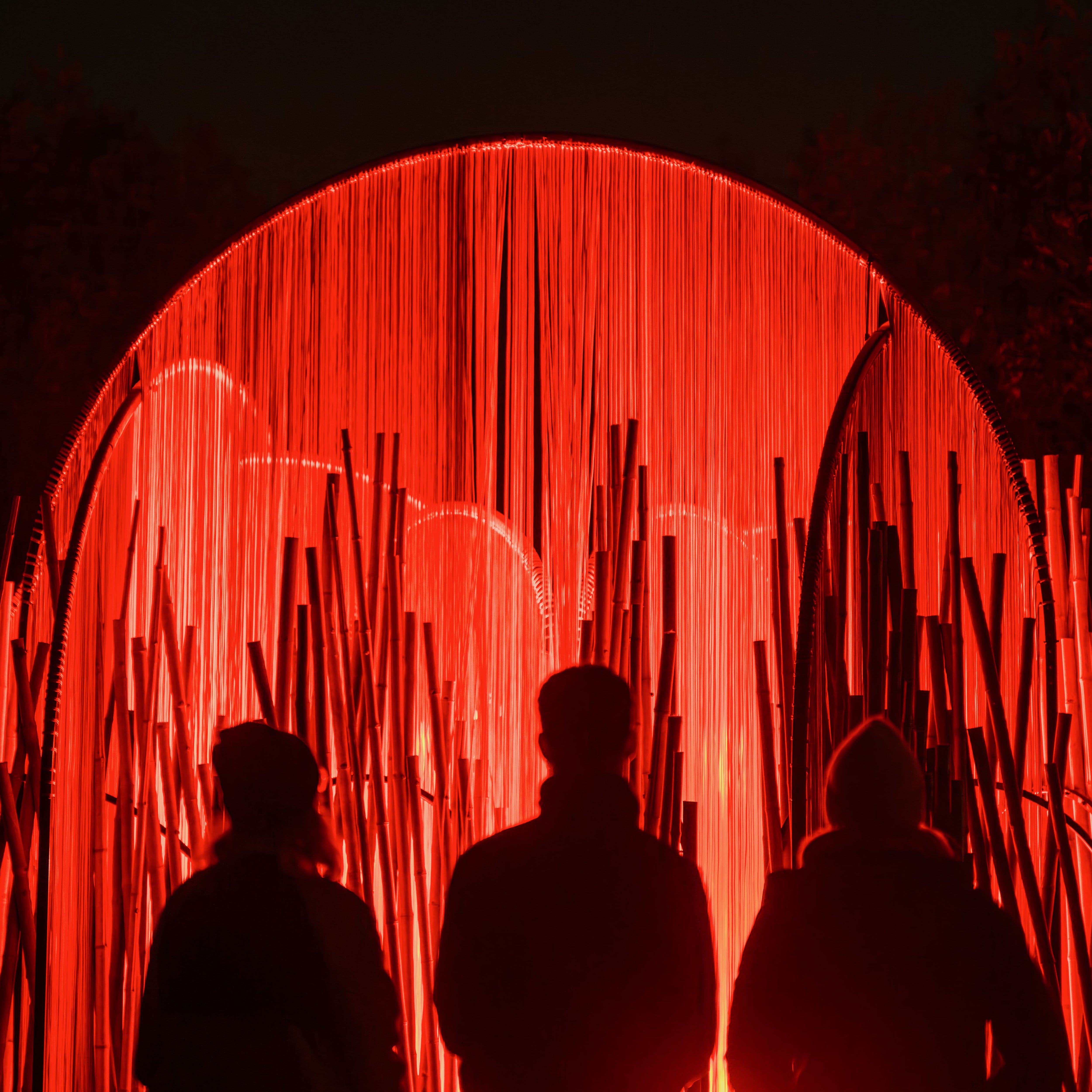 Light Cycles regresa a Chapultepec: así será el recorrido nocturno de luces
