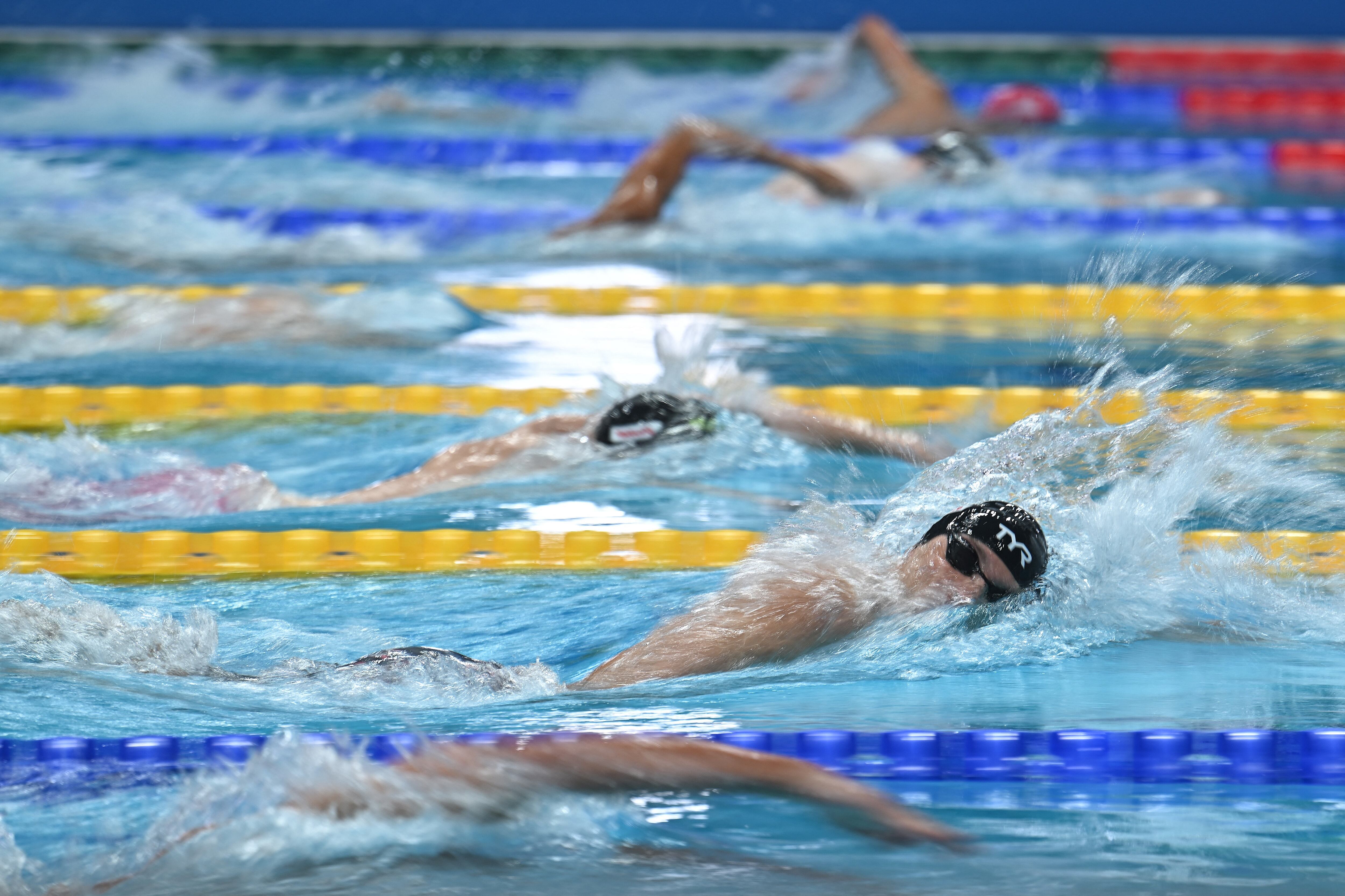 Competencia de natación