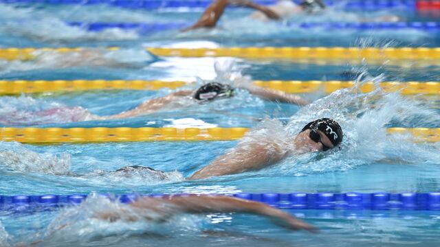 Competencia de natación