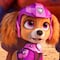 5 fondos de pantalla de Skye, la adorable cachorra de Paw Patrol, para tunear tu smartphone