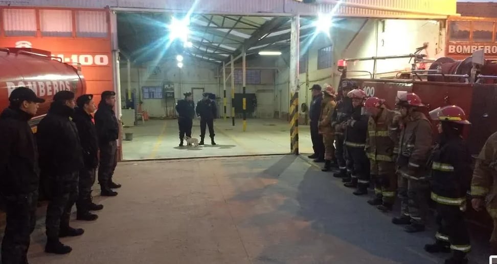 Porota, perrita bombera