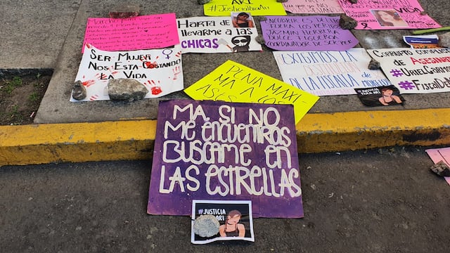 Carteles que llevaron amigas de Ariadna