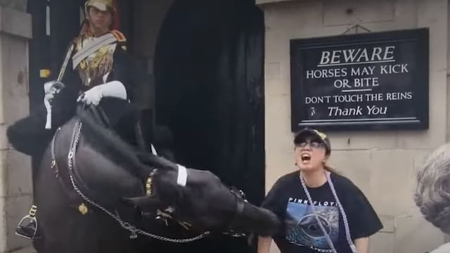 caballo de la Guardia Real