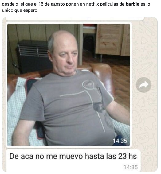 Memes de las películas de Barbie en Netflix