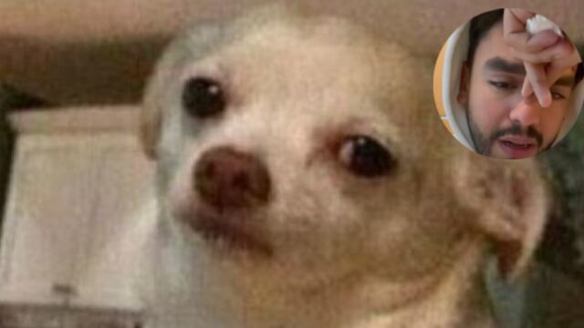 Los memes no creen en las disculpas de Omar Núñez