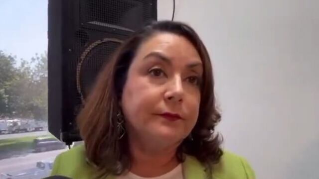 Minerva Pérez Castro