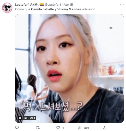 Memes porque Camila Cabello y Shawn Mendes regresaron