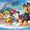 Maratón de Paw Patrol en la playa: Capítulos completos en YouTube en español para ver por el Día de las Aves Playeras