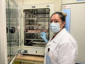 Paola Castillo Juárez