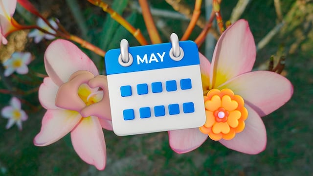 Flor de mayo o Plumeria Rubra