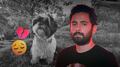 Sukinga, la mascota de Jonathan Meléndez, también fue asesinada en el multihomicidio de Atizapán