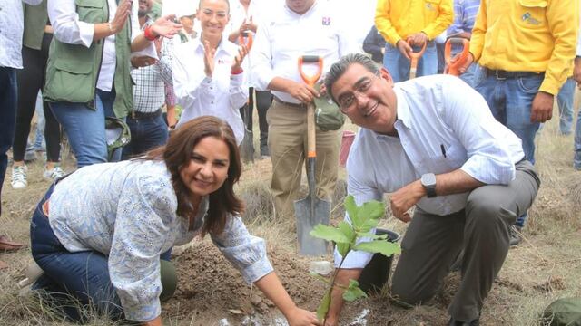 Reforestación en Puebla