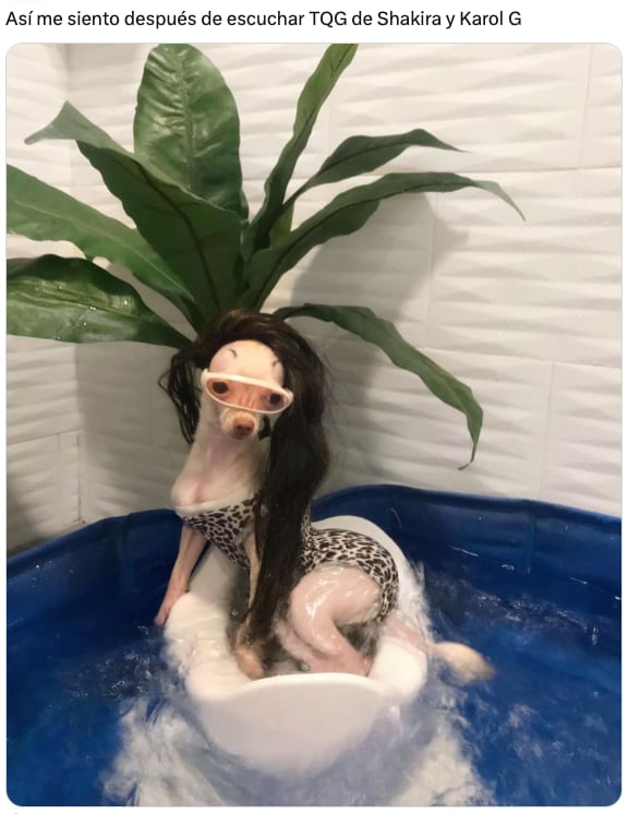 Los memes empoderados de TQG de Shakira y Karol G inundan las redes