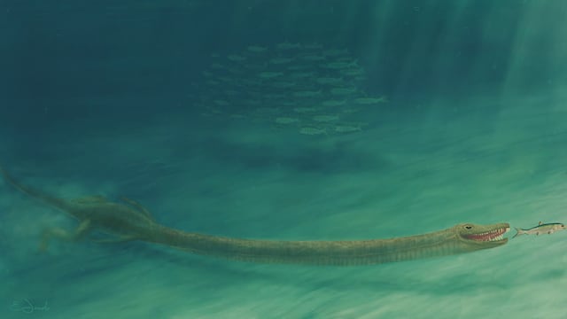 Tanystropheusse