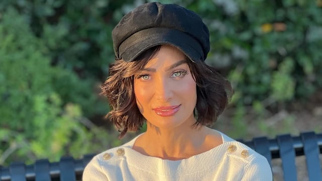 Dayanara Torres, Miss Universo Puerto Rico en 1993