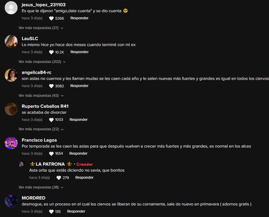 Reacciones al alce que se arrancó los cuernos