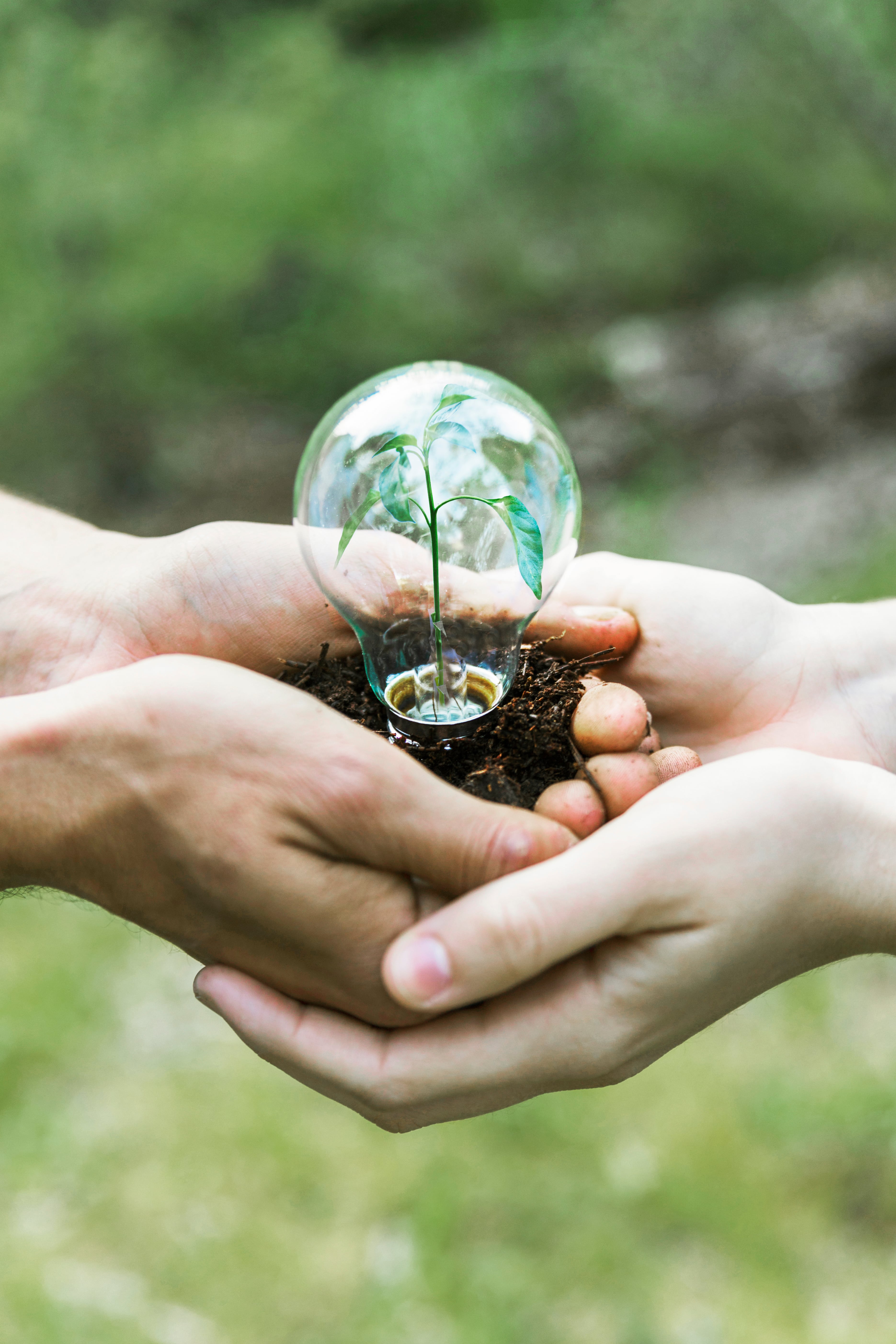 5 de junio, Día Mundial del Medio Ambiente