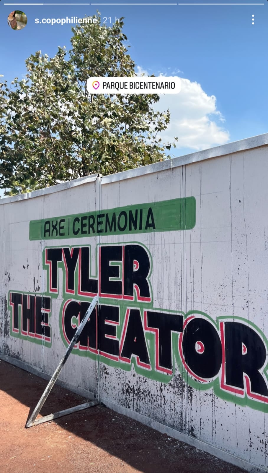 Berenice Giles Rivera, fotógrafa de conciertos