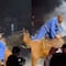VIDEO: Bad Bunny llegó arriba de un caballo a su concierto en Salt Lake City y fue épico
