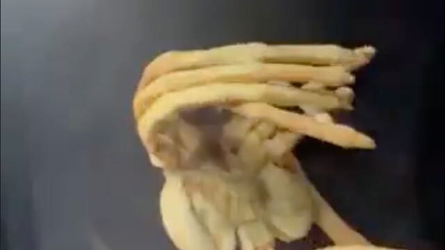 Xenomorfo a bordo del SpaceX