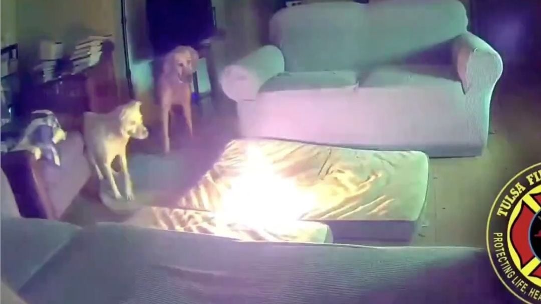Perro incendia su casa
