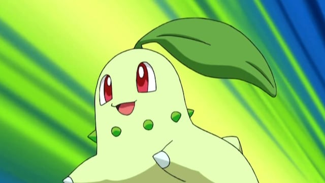 Chikorita es el Pokémon más popular en México