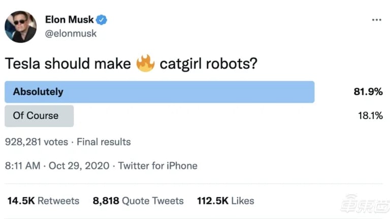 Elon Musk hizo una encuesta sobre robots sexuales en forma de chicas gato