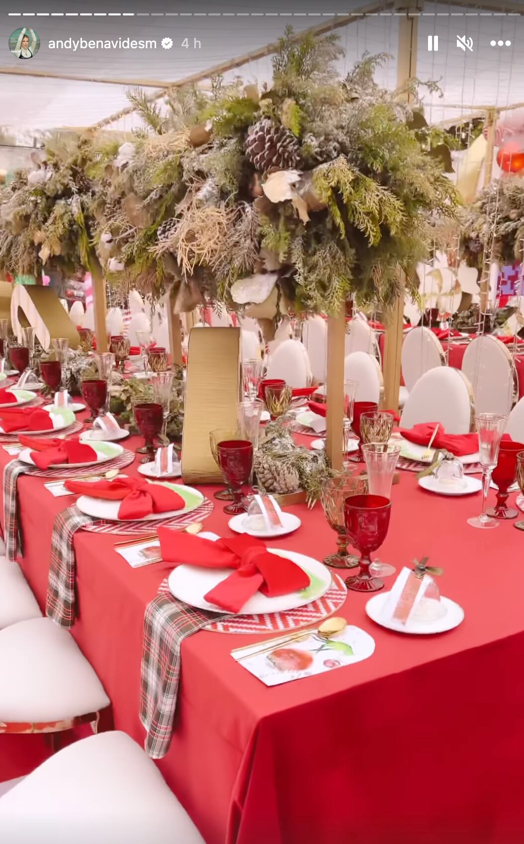 Fiesta de El Grinch de Andy Benavides