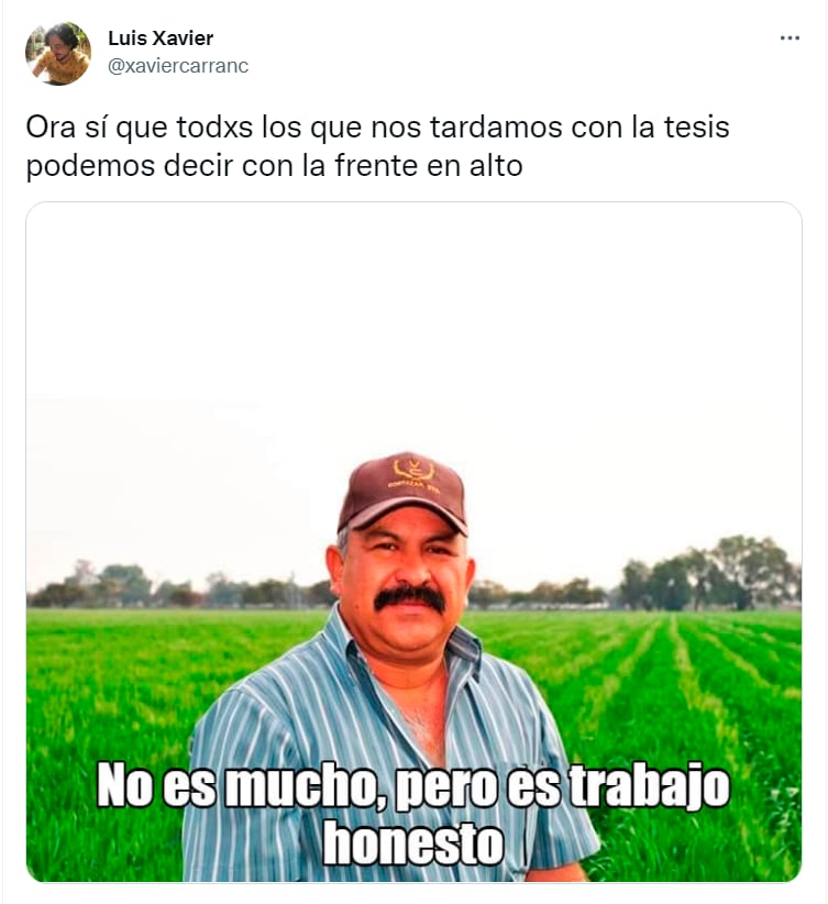 Memes de la ministra Yasmín Esquivel Mossa