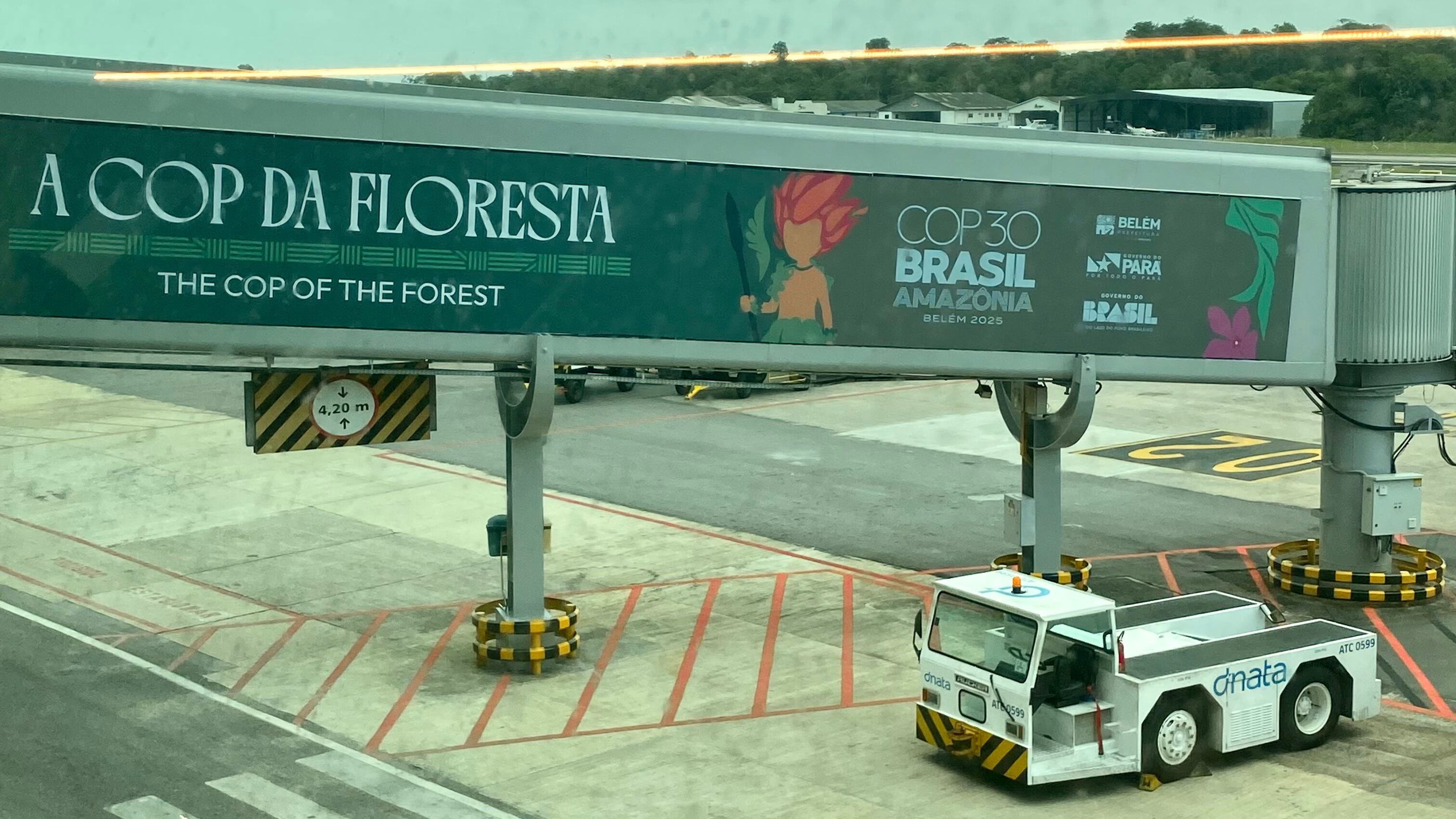 En la aviación, necesarios los biocombustibles