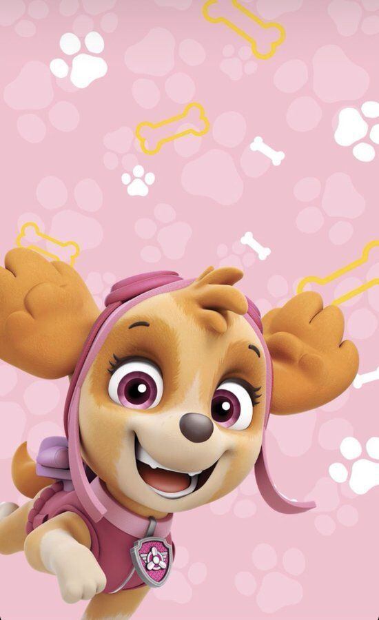 Fondos Paw Patrol