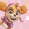 5 ideas de pastel de Skye de Paw Patrol en color rosa para niñas