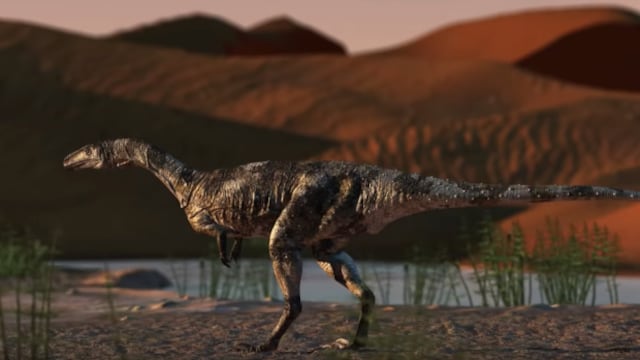 Vespersaurus paranaensis