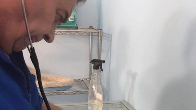 La muerte fue dolorosa para el animal, según médicos veterinarios.