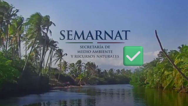 Semarnat declara libre de hidrocarburos Laguna del Ostión