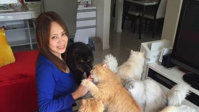 Todo comenzó un 30 de diciembre del 2010...