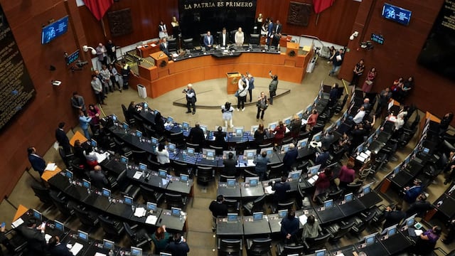 Cámara de Senadores elige hoy 12 de noviembre a la nueva presidenta de la CNDH