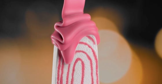 Paleta Magnum