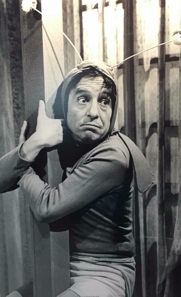 Roberto Gómez Bolaños