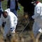 Michoacán: hallan 16 cuerpos en fosas clandestinas de Jacona