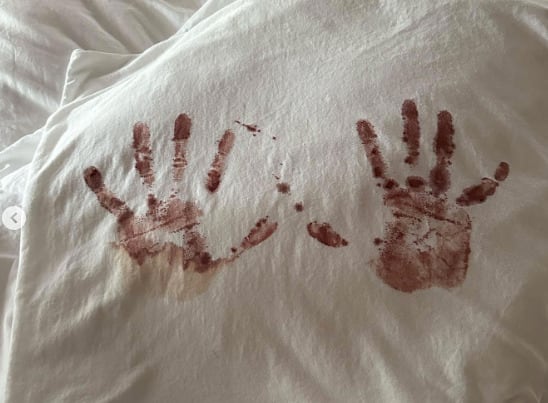 Camilo y Evaluna le dan la bienvenida a su segundo hijo Amaranto con tiernas fotos