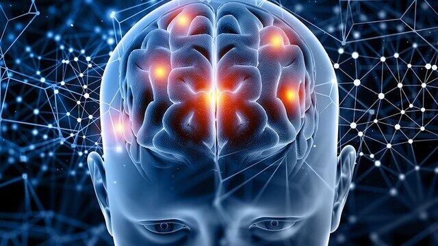 Mentalidad (Tumba-Burros digital)