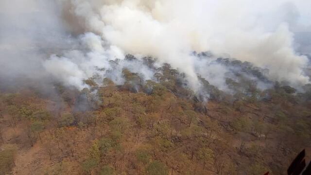 Incendio forestal en Bosque de La Primavera, Jalisco