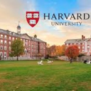 ‘Las consecuencias económicas de la destrucción de Harvard’