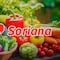 Martes y Miércoles del Campo Soriana 8 y 9 de abril 2025: Estas son las mejores ofertas