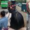 ¿Qué pasa en el Metrobús CDMX hoy miércoles 31 de julio? Unidad descompuesta y esperas de 20 minutos en Línea 4, Línea 3 y Línea 1