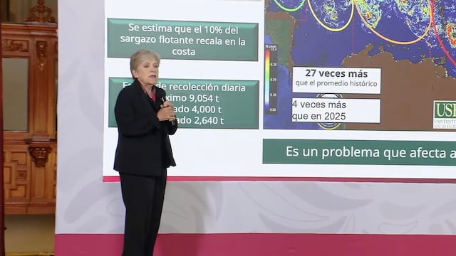 Alicia Bárcena explica el origen del sargazo que afecta a Quintana Roo.